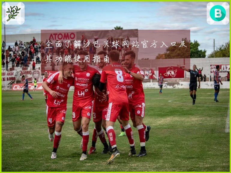 全面了解沙巴买球网站官方入口及其功能使用指南